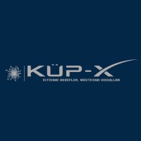 KÜP-X Analog Çip Tasarım Takımı logo - Similar company to Aren