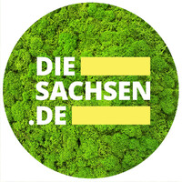 Saxony Today - Local News logo - Similar company to Avelan Digital Agency