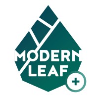 MODERNLEAF logo - Similar company to Shellbies