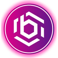 BHO Network logo - Similar company to 1Sol Foundation