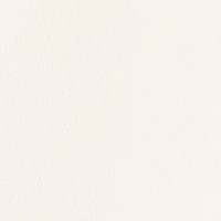 Putu Consulting Solutions logo - Similar company to Quantum Safe Bangladesh