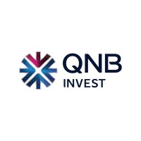 QNB Invest logo - Similar company to Technomind