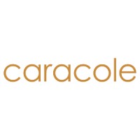 CARACOLE AFRIQUE logo - Similar company to Ht Beauty Supply