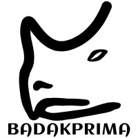 PT. Badak Prima Lestari logo - Similar company to Pt. Dycom Engineering