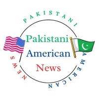 Pakistani American News logo - Similar company to Techbolted