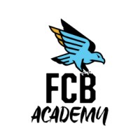 FC Birmingham Academy logo - Similar company to Fc Birmingham