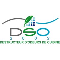 DSO2002 logo - Similar company to Sun Team