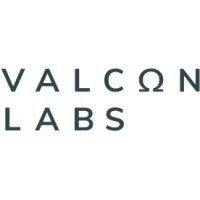 Valcon Labs logo - Similar company to Daddyday.Club