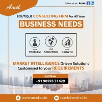 Amel Services & Consultancy Pvt. Ltd. logo - Similar company to Amel Group