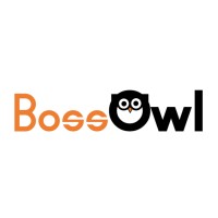 BossOwl logo - email format related to Olive-3 Technologies