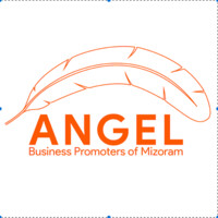 Angel Business Promoters of Mizoram logo - Similar company to Thoughtsmaker India Private Limited