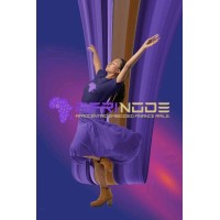 SUREBANQA  Cameroun logo - Similar company to Surebanqa