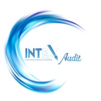 INTEX Audit logo - Similar company to Sofistico Llc