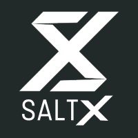 SaltX logo - Similar company to Saltx.Ai