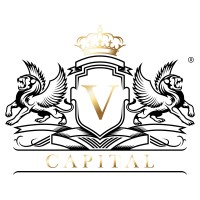V CAPITAL GROUP logo - Similar company to Jtca