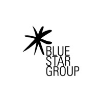 Blue Star Group (BSG) logo - Similar company to Retail Mind Group