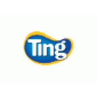 Ting Indústria E Comércio Ltda