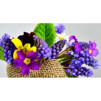 Primrose Florist London logo - Similar company to Barn Florist Ltd
