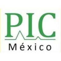Pic Petroleum de Mexico logo - Similar company to Datametrika Consultoría Estratégica Del Sureste
