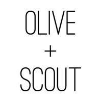 Olive + Scout logo - Similar company to Andar