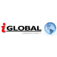 IGlobal Consultancy logo - Similar company to Vigit
