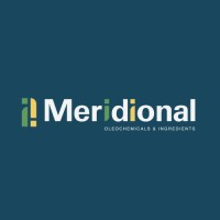 Meridional TCS logo - Similar company to Plásticos Magno Oficial