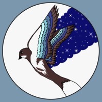 Kırlangıcın Rüyası logo - Similar company to Ieee Iztech Star