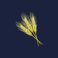 Prairie Capital Management Group, LLC logo - Similar company to Infinitas, Llc