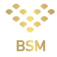 BSM Enterprise Ltd. logo - Similar company to Ningbo Future Houseware Co., Ltd.