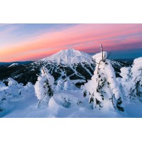 RSR properties L.L.C. logo - Similar company to Rsr Properties Uk