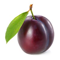 Sorrell logo - Similar company to Sorrell Search, Llc.