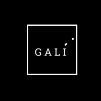 GALÍ IT SERVICES logo - Similar company to Amplifier