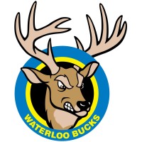 Waterloo Bucks logo - Similar company to Cedar Rapids Kernels