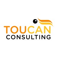 Toucan Consulting Ltd logo - Similar company to Globalrise Capital Ltd