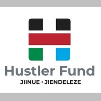 HustlerFund logo - Similar company to Iwo Consultancy