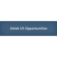 Delek Usa logo - Similar company to Marketsavvy Group