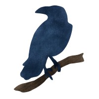 Blu Raven logo - Similar company to Applied Network Defense