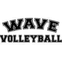 WAVE Volleyball logo - Similar company to Calpro