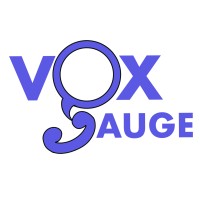 VoxGauge logo - Similar company to Vera Business Consulting