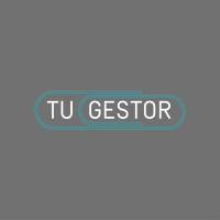 Tu Gestor logo - Similar company to Pifel&Freends