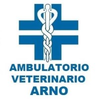 Ambulatorio Veterinario Arno logo - Similar company to Illuminami