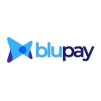 Blupay Teknoloji logo - Similar company to Blupay