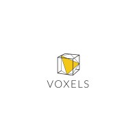 Voxels logo - Similar company to Assembly Academy