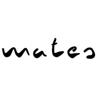 Mates gie logo - Similar company to Csit  Csintrans Inc.