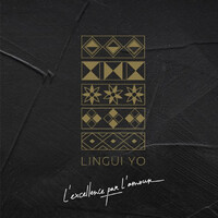 LINGUI YO logo - Similar company to Mansa Holding