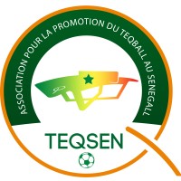 TEQSEN logo - Similar company to Buy Space