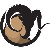 Lonestar Sierra, LLC logo - Similar company to Cyrad Solutions