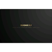 Zgjidhje E.F logo - Similar company to Dupleuk