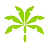 Paraiso Media Co logo - Similar company to Slistudios