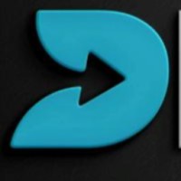 Delivery Partners® logo - Similar company to Thunderr Express